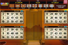 Bingo Ribeirinhos