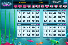 Pesca Bingo