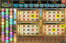 Tribo Bingo