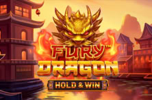 Fury Dragon
