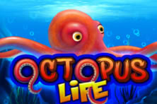 Octopus Life