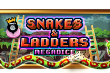 Snakes And Ladders Megadice