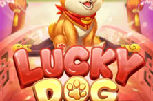 Lucky Dog