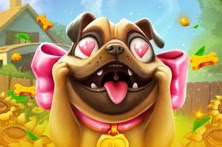 Go High Puppy Love