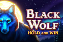 Black Wolf