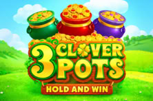 3 Clover Pots