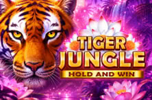 Tiger Jungle