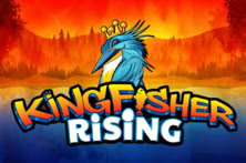 Kingfisher Rising