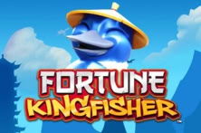 Fortune Kingfisher