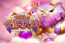 Cats of Olympuss