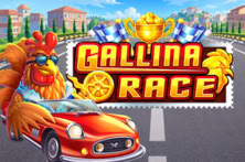Gallina Race