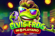 Elvis Frog In PlayAmo