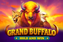 Grand Buffalo Hold and Win