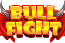 Bull Fight