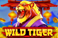 Wild Tiger