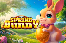 Spring Bunny