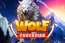 Caucasian Wolf