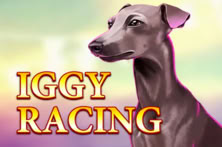 Iggy Racing