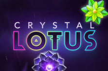 Crystal Lotus