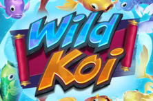 Wild Koi