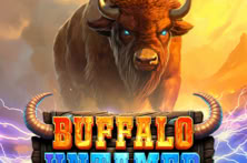 Buffalo Untamed