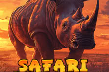 Safari Dreams