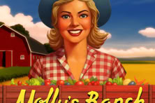 Molly S Ranch