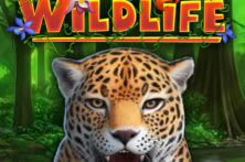 Wildlife