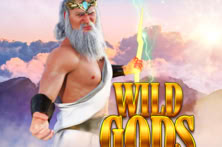 Wild Gods
