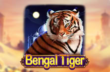 Bengal Tiger