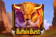 Buffalo Burst