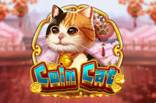 Coin Cat