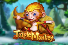 Triple Monkey