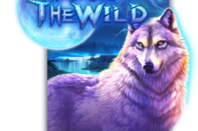 The Desire Of The Wild