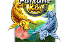 Fortune Koi