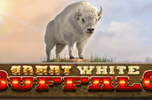 Great White Buffalo