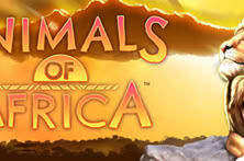Animals Of Africa