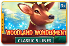 Woodland Wonderment