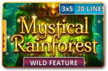 Mystical Rainforest