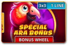 Special Ara Bonus 3x3