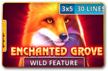 Enchanted Grove