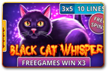 Black Cat Whisper