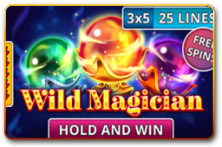 Wild Magician