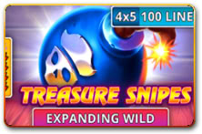 Treasure Snipes