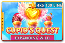 Cupid S Quest