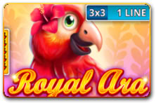 Royal Ara 3x3
