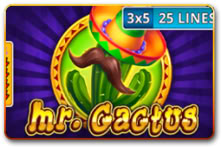 Mr Cactus