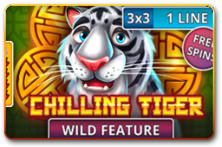 Chilling Tiger 3x3