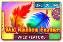 Wild Rainbow Feathers