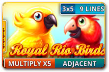 Royal Rio Birds